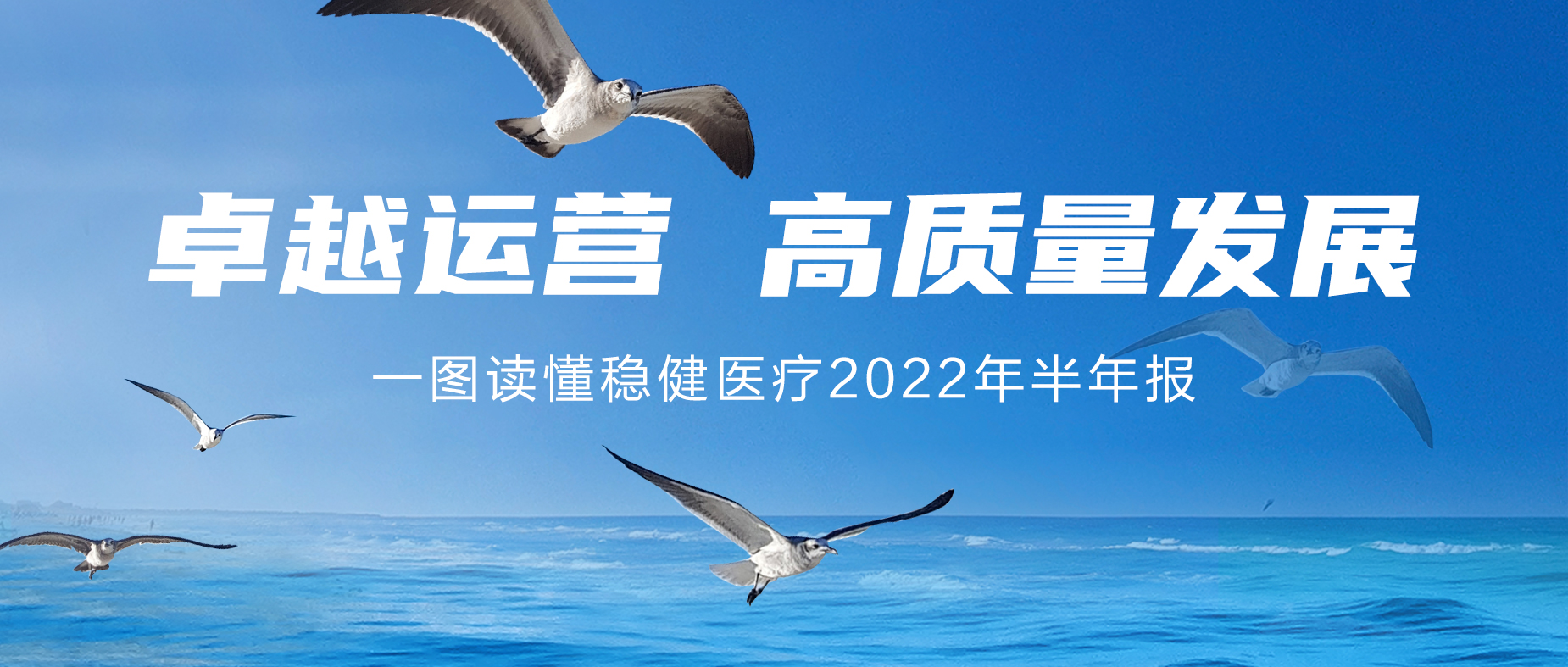 一图读懂买球APP2022年半年报